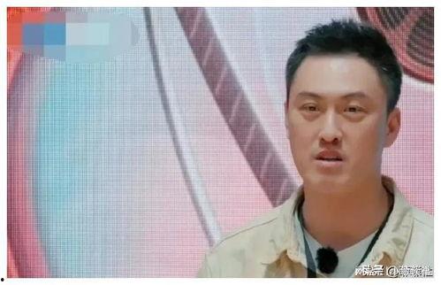 娱乐圈谁最吃瓜排行榜,揭秘谁是瓜王  第3张