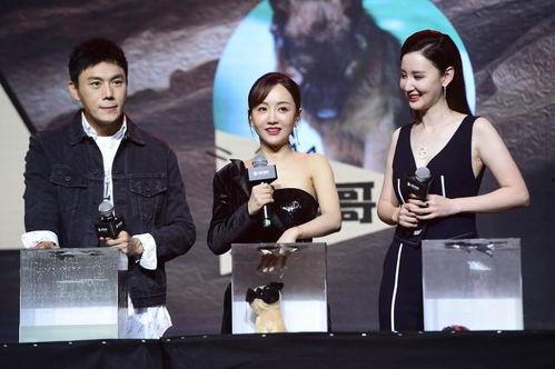 娱乐吃瓜热榜小说,吃瓜热榜背后的秘密故事  第2张