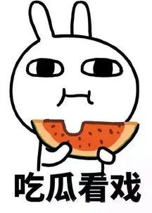 sx吃瓜娱乐,揭秘娱乐圈最新热点事件  第2张