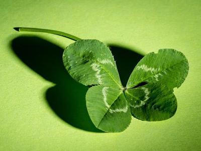 吃瓜四叶草娱乐  第3张